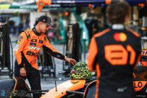 Lando Norris, McLaren, Yas Marina, 2024